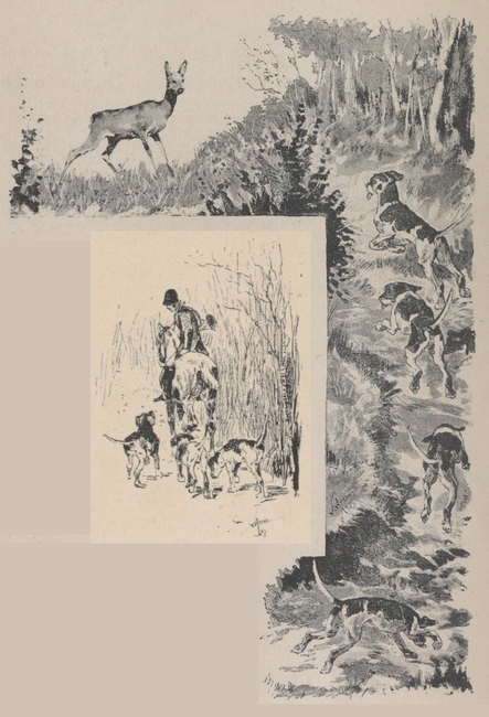 Illustration tirée de l'ouvrage En déplacement - Donatien Levesque (1887) - E. Plon, Nourrit et Cie (Paris) - BnF (Gallica) 14